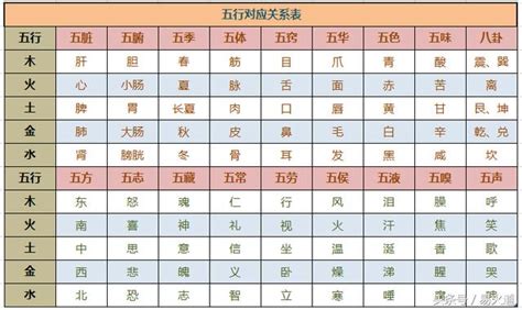 工作屬性 五行|細選【八字五行職業】，屬性對應必事半功倍！【社會新鮮人必看】